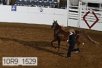 10r9_1529 proof
