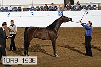 10r9_1536 proof
