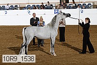 10r9_1538 proof