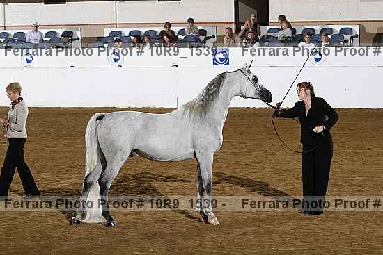 Proof 10r9_1539