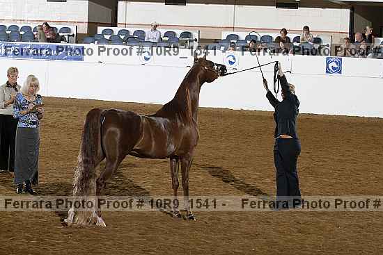 Proof 10r9_1541