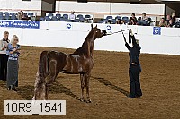 10r9_1541 proof