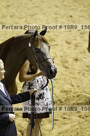 Proof 10r9_1561