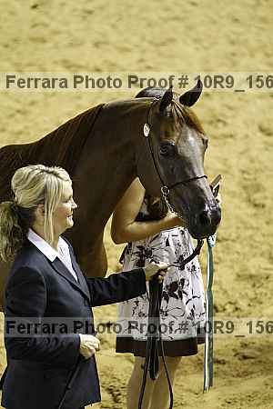 Proof 10r9_1562