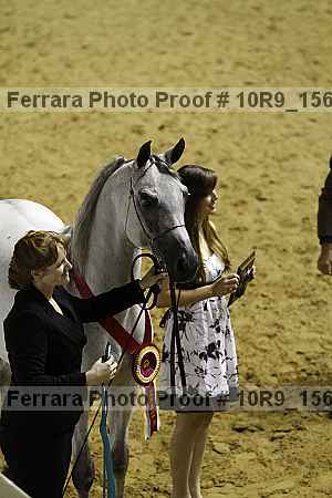 Proof 10r9_1565