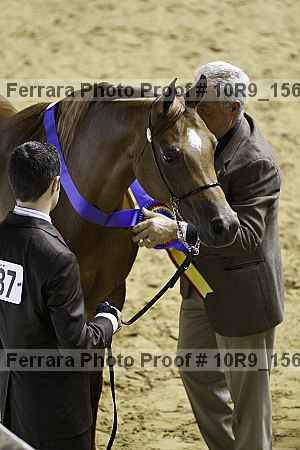 Proof 10r9_1567
