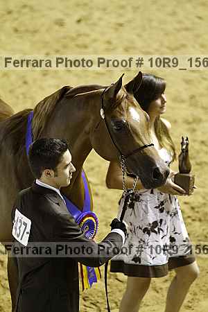 Proof 10r9_1569
