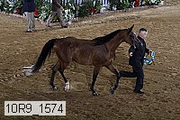 10r9_1574 proof