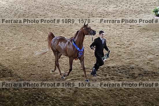 Proof 10r9_1578