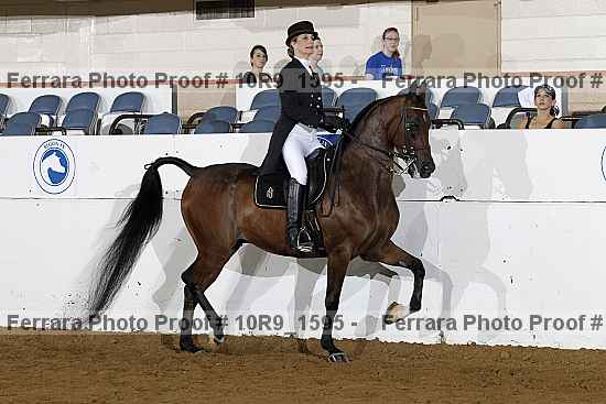 Proof 10r9_1595