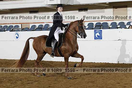 Proof 10r9_1598