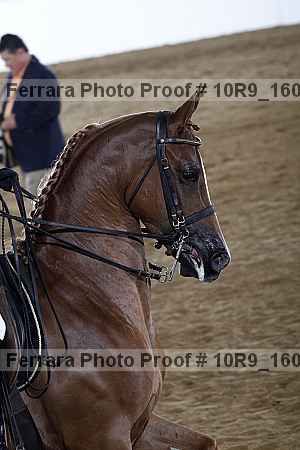 Proof 10r9_1606