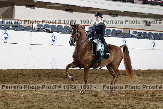 Proof 10r9_1607