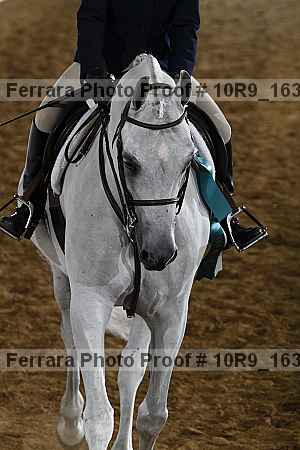 Proof 10r9_1639
