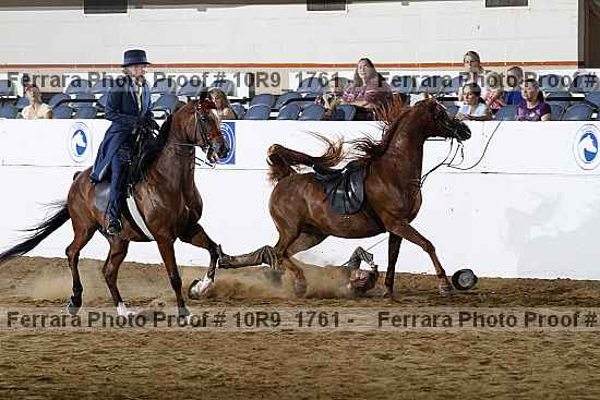 Proof 10r9_1761