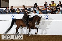 10r9_1766 proof