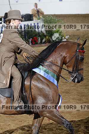 Proof 10r9_1793