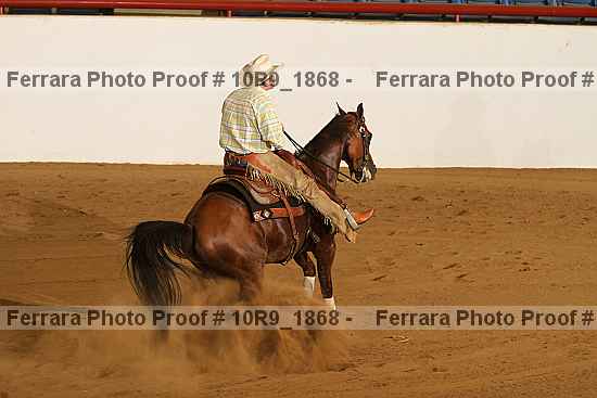 Proof 10r9_1868