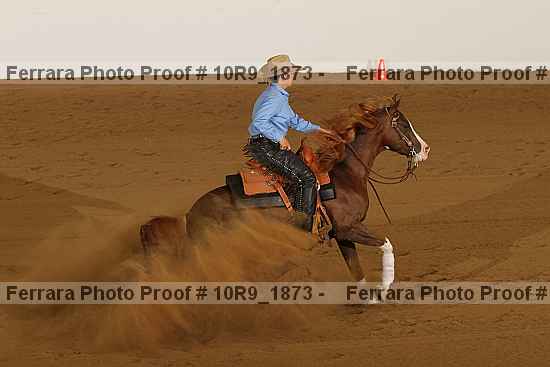 Proof 10r9_1873