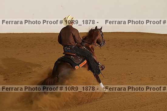 Proof 10r9_1878