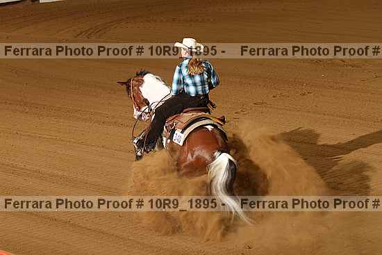 Proof 10r9_1895