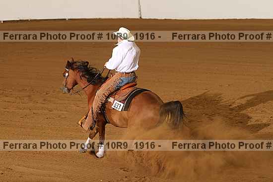 Proof 10r9_1916