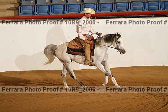 Proof 10r9_2006
