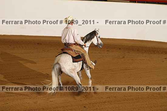 Proof 10r9_2011