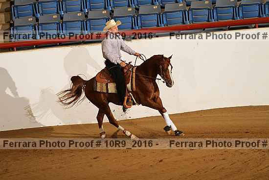 Proof 10r9_2016