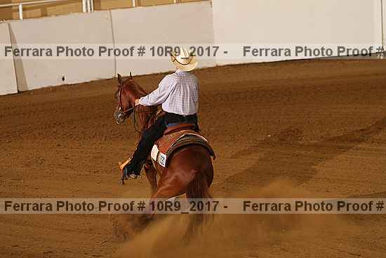 Proof 10r9_2017