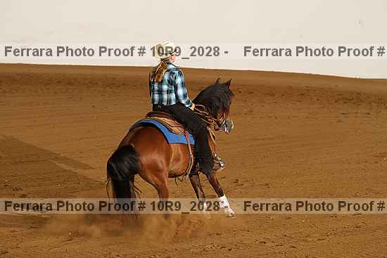 Proof 10r9_2028