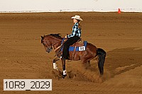 10r9_2029 proof