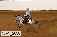 10r9_2036 proof
