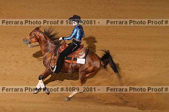 Proof 10r9_2081