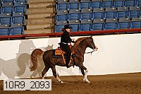 10r9_2093 proof