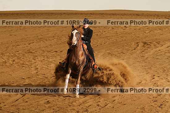 Proof 10r9_2099