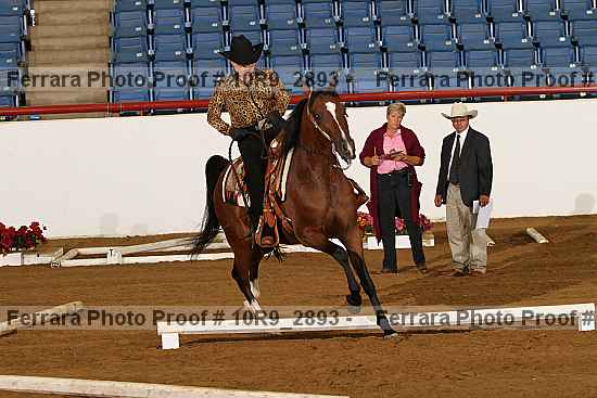 Proof 10r9_2893