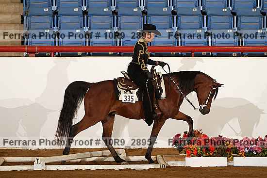 Proof 10r9_2895