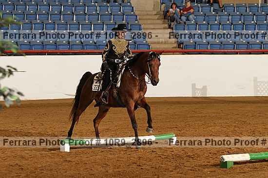 Proof 10r9_2896
