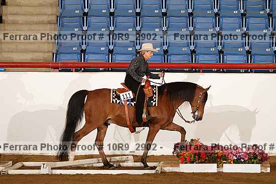 Proof 10r9_2902