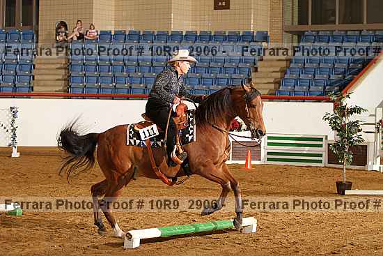 Proof 10r9_2906