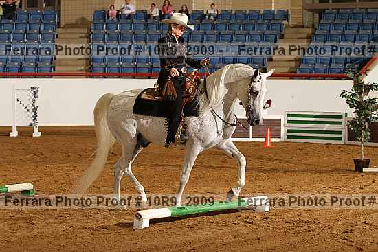 Proof 10r9_2909