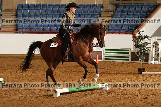 Proof 10r9_2918