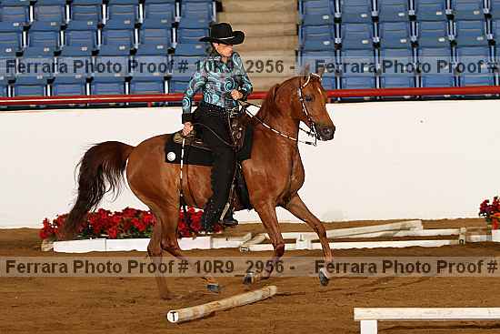 Proof 10r9_2956