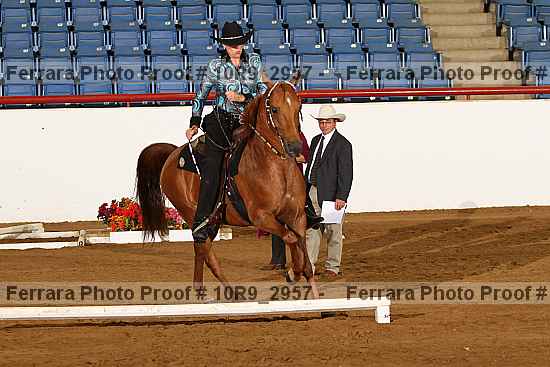 Proof 10r9_2957