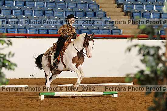 Proof 10r9_2962