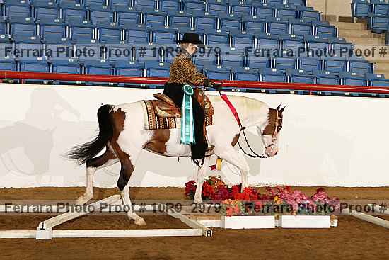 Proof 10r9_2979