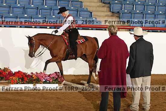 Proof 10r9_2996