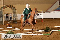 10r9_3000 proof