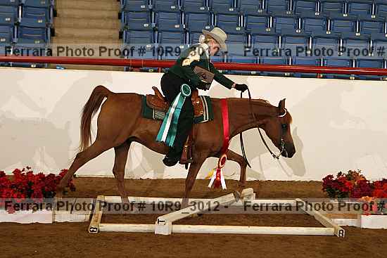 Proof 10r9_3012